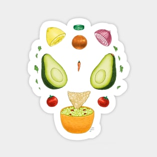 Avocado Diagram Sticker